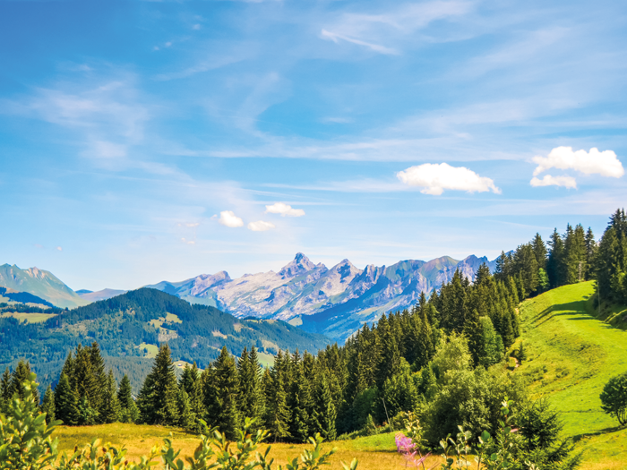 neva Airport (GVA) flight in real time.